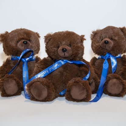 2022 teddy bears